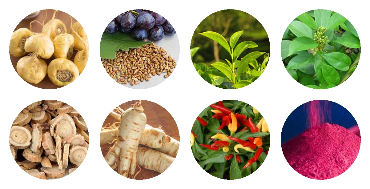 ZenCortex ingredients